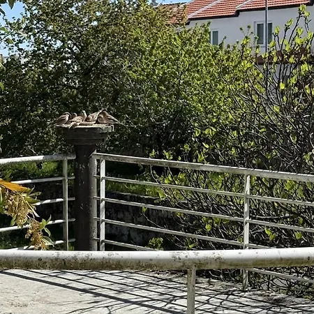 מלון Pombeira