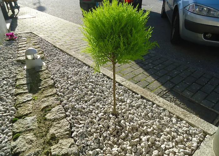 Pombeira גוארדה